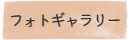 フォトギャラリー