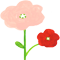 お宮参りカメラマン