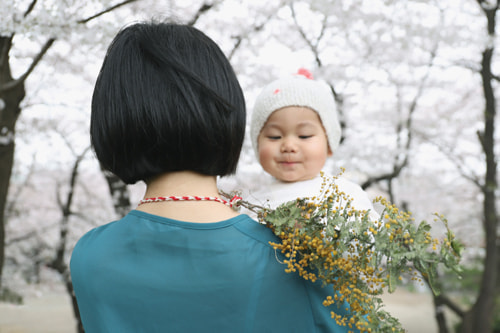 桜、家族写真