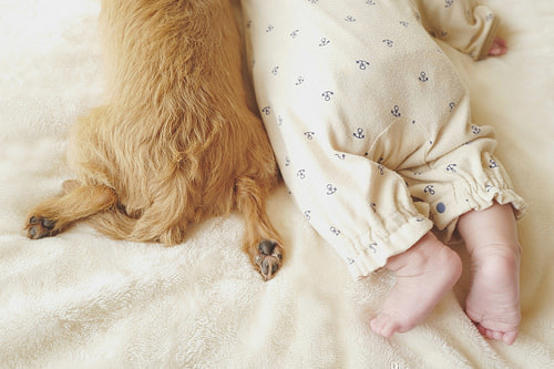 ベビーフォト撮影のコツ