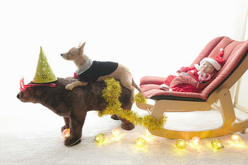 ベビーフォト撮影のコツ