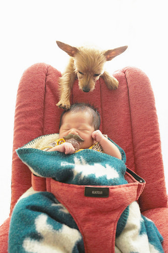 ベビーフォト撮影のコツ