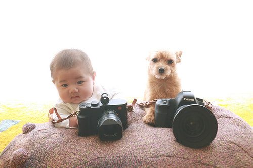 ベビーフォト撮影のコツ