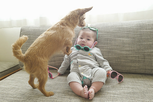 ベビーフォト撮影のコツ