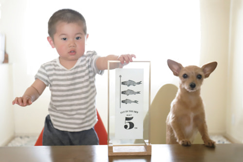 端午の節句写真3