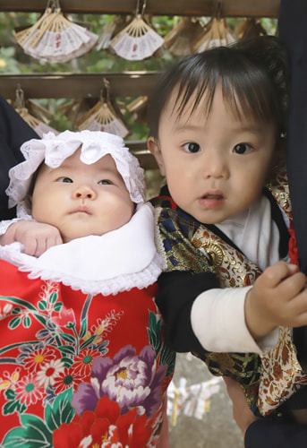 大宮八幡宮 お宮参り写真３