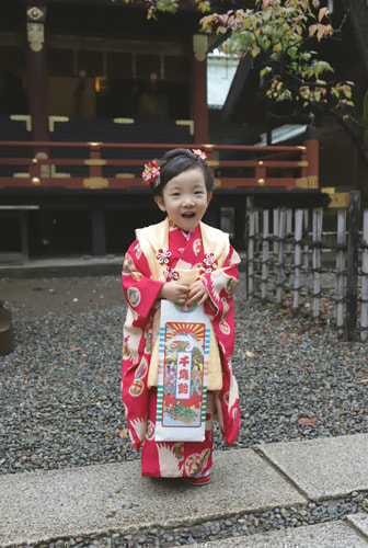 七五三写真 撮影場所 根津神社