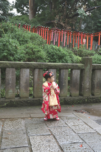 七五三写真 撮影場所 根津神社