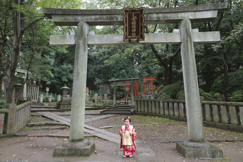 七五三写真 撮影場所 根津神社