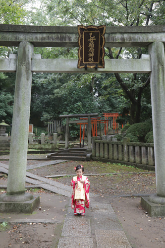 七五三写真 撮影場所 根津神社