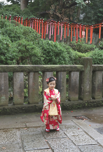 七五三写真 撮影場所 根津神社