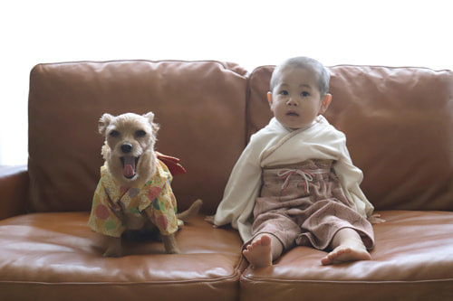 出張撮影1