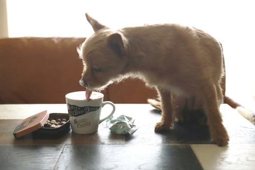 バレンタインチョコ