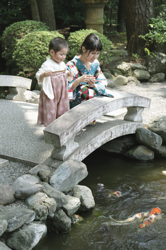 七五三写真 撮影場所 寒川神社