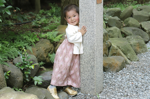 七五三写真 撮影場所 寒川神社