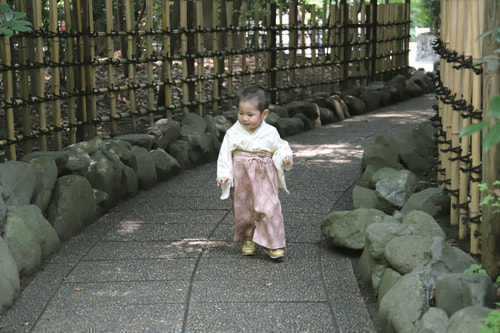 七五三写真 撮影場所 寒川神社