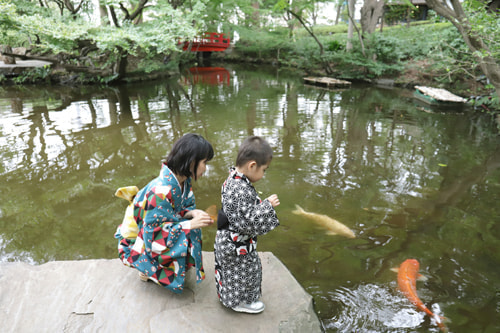 七五三写真 撮影場所 ホテル ニューオオタニ・日本庭園