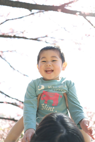 新宿御苑 家族写真 桜