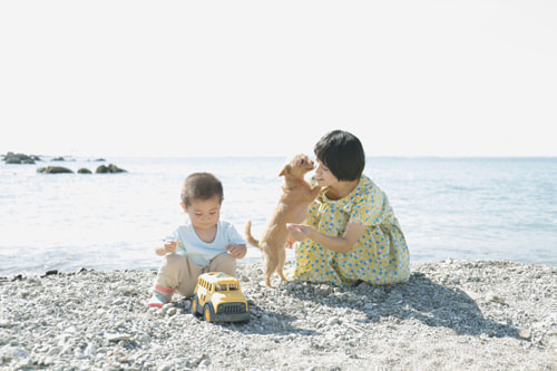 海の近くへ移住