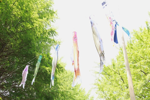 お宮参り写真 撮影場所 西東京市 田無神社 鯉のぼり