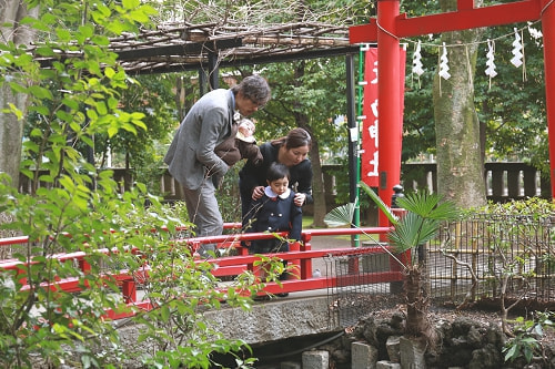 お宮参り写真 撮影場所 世田谷八幡宮 鯉