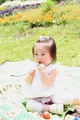 葛西臨海公園 バースデーフォト 夏