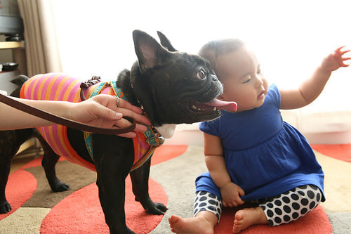 １歳バースデー