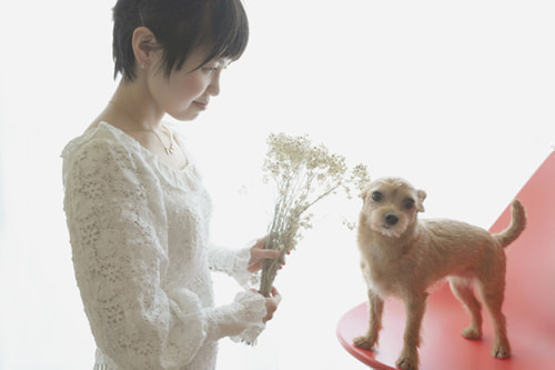 ブライダル(エンゲージメントフォト)写真 撮影場所 大和市(森) 花、ドロップチェア、新婦、犬