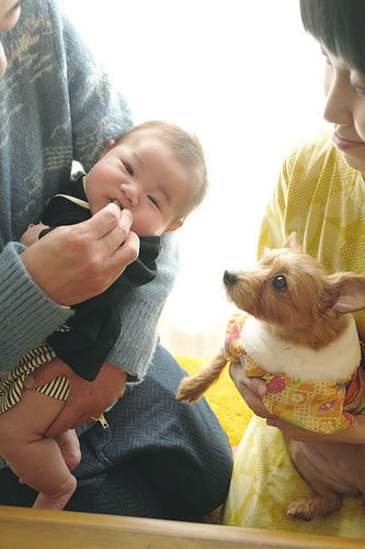 百日祝い(お食い初め)写真１３