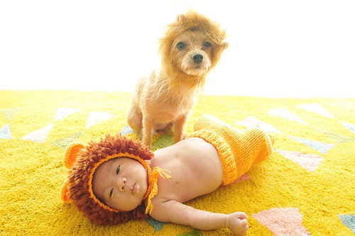 ベビーフォト撮影のコツ