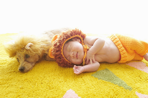 ベビーフォト撮影のコツ