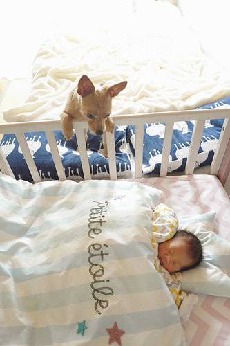 ベビーフォト撮影のコツ