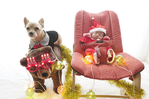 ベビーフォト撮影のコツ