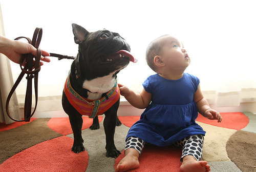 子供写真撮影のコツ