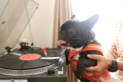 子供写真撮影のコツ