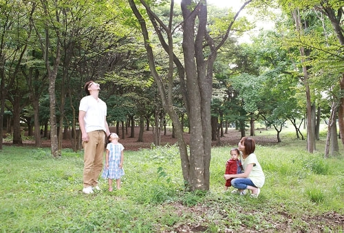 子供写真撮影のコツ