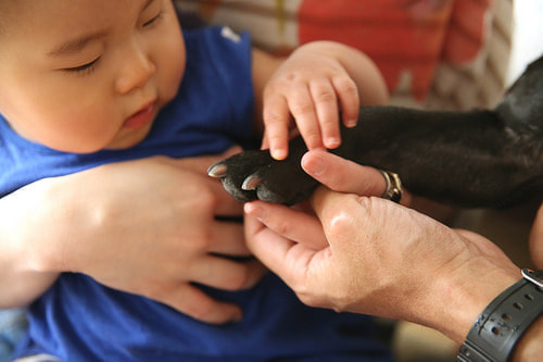 子供写真撮影のコツ