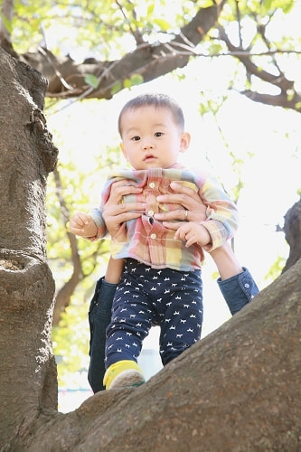 子供写真撮影のコツ
