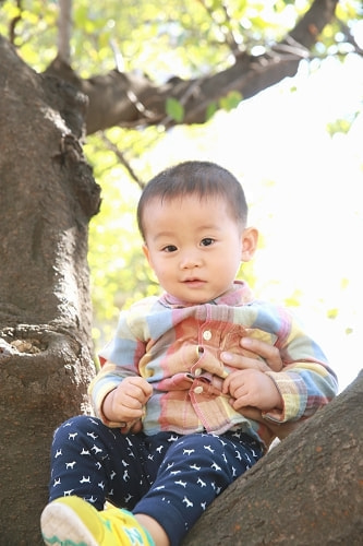 子供写真撮影のコツ