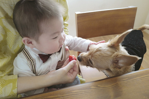 ハーフバースデー