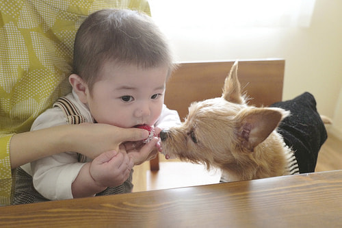 ハーフバースデー