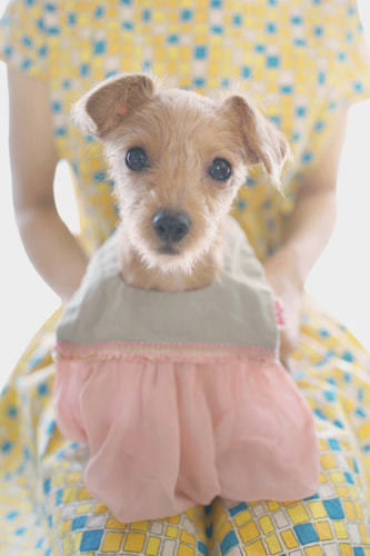 ホームページ、店舗、商品、プロフィール写真