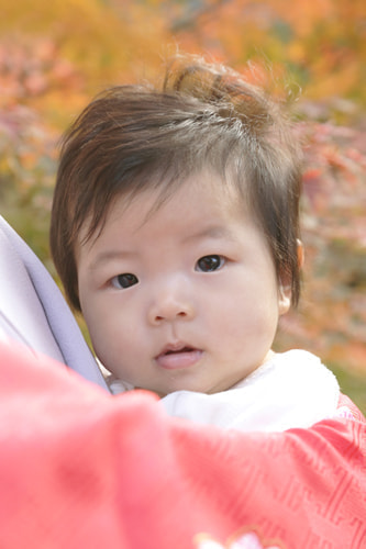 お宮参り写真 撮影場所 鎌倉鶴岡八幡宮 紅葉