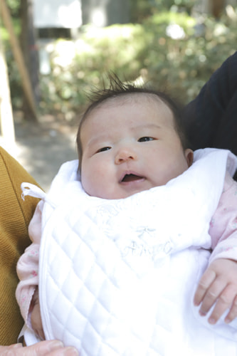 お宮参り写真 撮影場所 大宮八幡宮４０