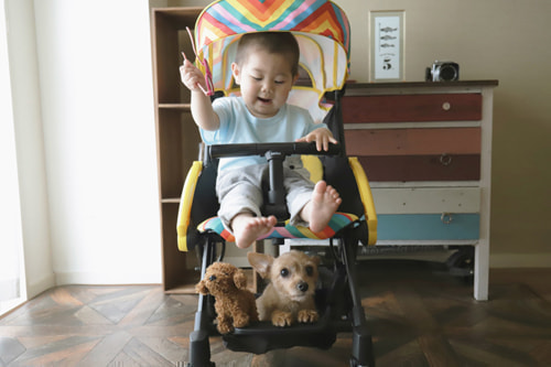 KATOJI ベビーカー３