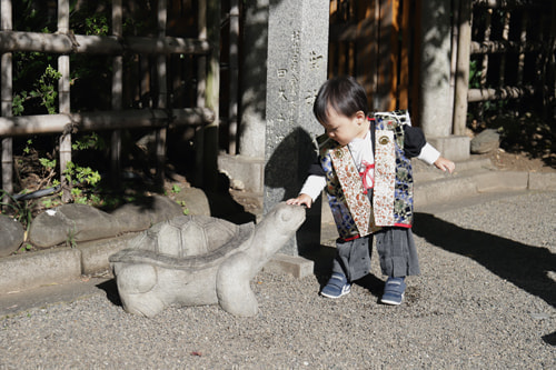 お宮参り写真 撮影場所 大宮八幡宮