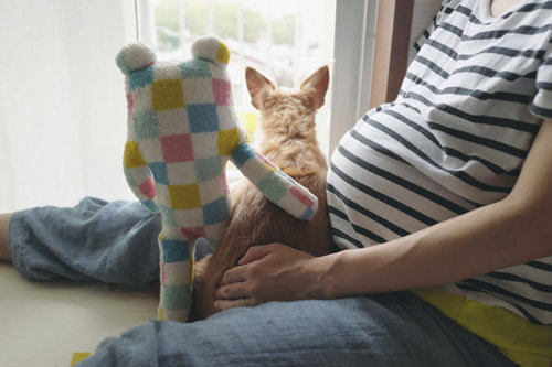 マタニティフォト