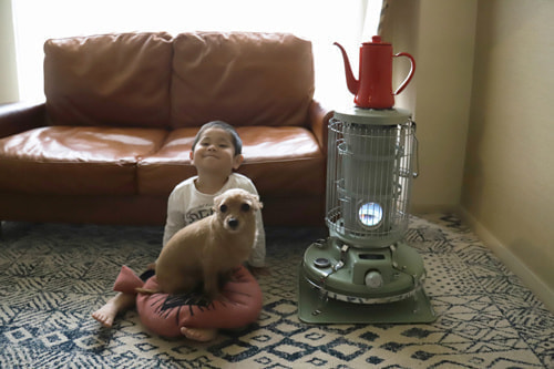 枕元に犬のおもちゃ