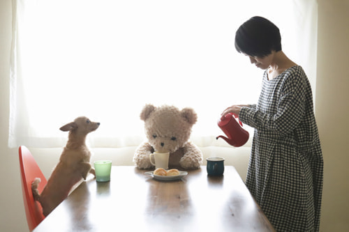 クマのぬいぐるみ