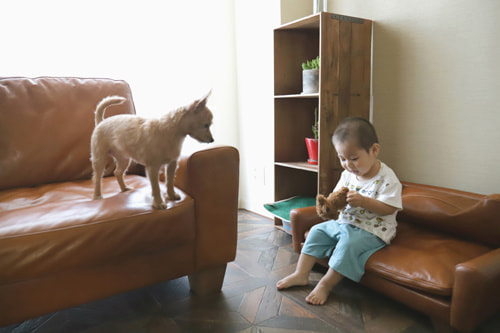 幸せを感じる瞬間